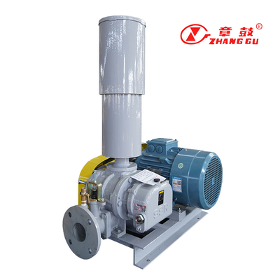 SSR Roots Vacuum Pump Roots Booster Vacuum Pump برای فرآیندهای مهم ماموریت