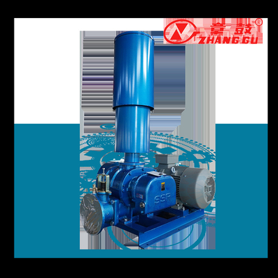 SSR Roots Vacuum Pump Roots Booster Vacuum Pump برای فرآیندهای مهم ماموریت